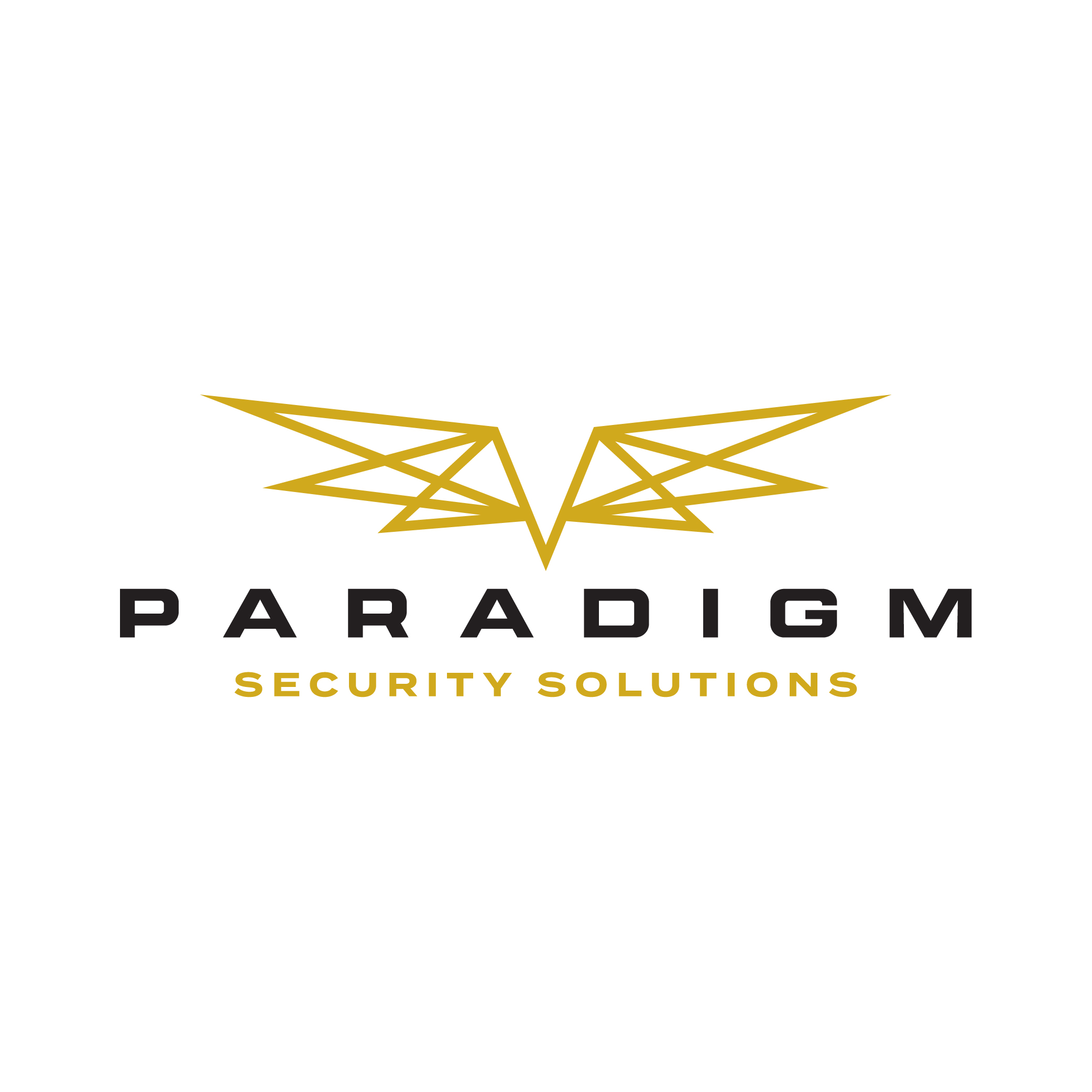 Paradigm Security Solutions